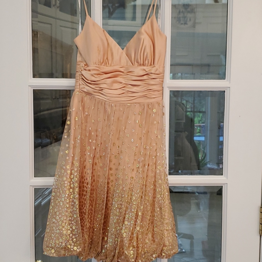 David's Bridal homecoming dress